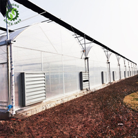 Système de culture de serre à film intelligent pour la culture de laitue et de légumes Système d'utilisation Hydroponique Strawberry Goutter Greenhouse