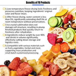 工業用凍結乾燥機 ステンレス製 イチゴ・マンゴー・ブルーベリー食品保存用 - Product Image 2