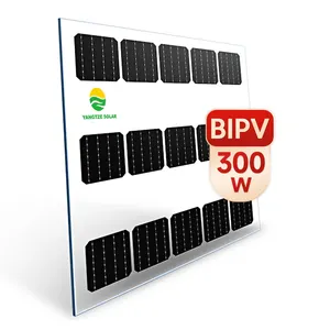 Chinese BIPV 100W 200W 300W 600W Solar Panel Roof Tiles Building Integrated Photovoltaics Product