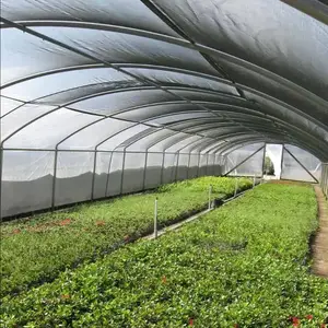 Custom Farm Nursery Coir Green Black Greenhouse Hdpe Sun Shade Net Roll For Agriculture Green