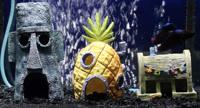 Accessoires de décoration d'aquarium en plastique en gros : cachette pour poissons, abri pour crevettes pour aquarium de salon