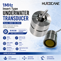 Transducteur ultrasonique subaquatique de type insertion 1 MHz avec indice de protection IP68, boîtier en acier inoxydable 304 pour débitmètre et mesure de distance sous-marine