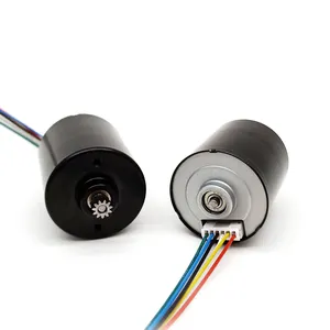 24Mm 28Mm 36Mm 42Mm Micro Hoge Snelheid 12V 24V Bldc Motor Elektrische Borstelloze Motor