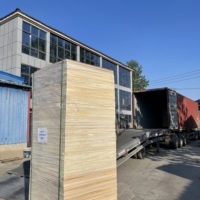 Origine du Shandong Balsa Paulownia, planches articulées en bois massif, planches collées en bois, prix mètre cube M3 Tomentosa