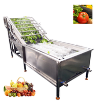 Hoogwaardige machines voor het reinigen en verwerken van groenten en fruit, wasmachine voor aardappelen, tomaten, wortelen, gember en fruit, bubbelwasmachine