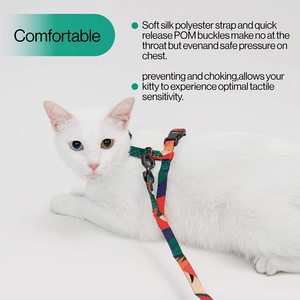 Pidan Escape-proof Adjustable Lightweight Soft <strong>Cat</strong> <strong>Harness</strong> and Leash Set for Small and Large <strong>Cats</strong> - Product Image 4