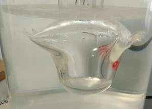 Detector de vazamento de pressão negativa, recipiente molhado/pacote/garrafa, equipamento de teste de vazamento - Product Image 5