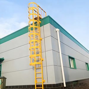 Escaleras de jaula montadas en la pared 2026: Escaleras de <span class=keywords><strong>emergencia</strong></span> para techos industriales de almacenes - Product Image 6