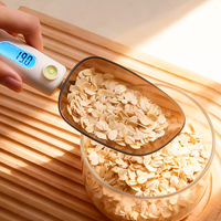 Balance cuillère numérique haute précision 500g/0.1g en ABS+PC rechargeable pour cuisine/cuisson/aliments pour animaux