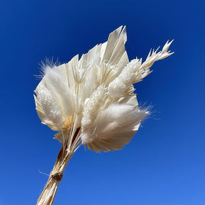 Bouquet de gâteau de mariage de palmier bleu fait à la main queues de lapin bleu fleurs séchées d'herbe avec Ruscus pour gâteau d'anniversaire Table de mariage - Product Image 5