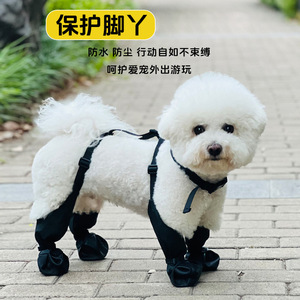 Chaussures imperméables pour animaux de compagnie, toutes saisons, antidérapantes, résistantes à l'usure, pour petits chiens - Product Image 3