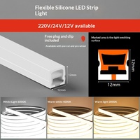 Tube en silicone personnalisé 12V 24V 220V pour bande LED IP68, extrusion unique, flexible, pliable, néon LED extérieur 10*10 20*10