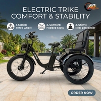 Tricycle à pneus larges pour la neige, certifié EEC, moteur central 750W sans balais, 3 places, trike cargo, batterie au lithium, pour adultes