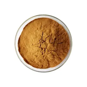 Organic Herba Leonuri Extract Motherwort Extract Powder 3% Iridoid