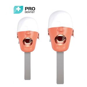 Nieuwe Aankomst Tandmodel Tanden Model Implantaat - Product Image 5