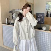 Veste courte pour femme style Chanel, Nouvelle collection Printemps/Automne 2026, Haut raffiné style décontracté