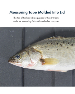 Glacière à thon isotherme personnalisée de grande capacité 50L avec parois en mousse épaisse - Product Image 4