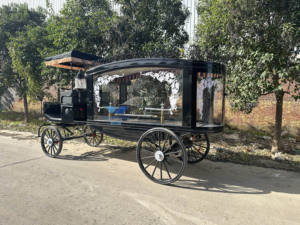 รถโลงศพไฟฟ้าย้อนยุคสีขาว - Product Image 4