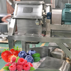 Nhà Máy Giá đầy đủ tự động máy làm nước ép trái cây Berry Máy ép trái cây dây chuyền sản xuất dâu tây Máy ép trái cây điền nhà máy chế biến - Product Image 4