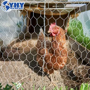 Jala kawat ayam kecil digunakan untuk kandang hewan kecil/kandang hewan