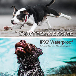 <span class=keywords><strong>Collar</strong></span> de entrenamiento de perro de plástico recargable Antiladrido <span class=keywords><strong>Collar</strong></span> de choque para mascotas - Product Image 6