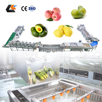 Avocado Wassen En Sorteren Machine Bubble Wasmachine Groente En Fruit Reiniging Wassen Verwerkingslijn