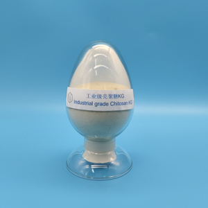 厂家直销热销工业级壳聚糖KG用于水处理 - Product Image 2