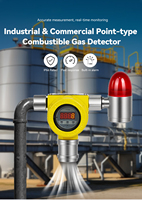 Système intelligent de surveillance des gaz avec double sortie relais, détecteur fixe de fuite de gaz toxique O2/LEL et alarme