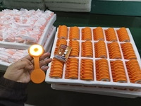 Porte-clés LED magnétique avec lumière douce à trois températures de couleur réglables pour la photographie et le streaming en direct