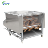 Plumeuse à volaille Shepody en acier inoxydable pour usage commercial et domestique, machine à enlever les plumes de poulet, canard, oie, certifiée CE