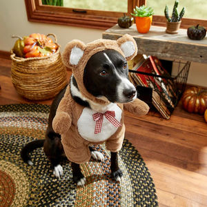 Drôle chien <span class=keywords><strong>vêtements</strong></span> fabricant pet cosplay <span class=keywords><strong>vêtements</strong></span> hiver chiot bouledogue halloween ours costume pour grand chien - Product Image 6