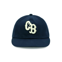 Nolon Fabric Luxe 3D Borduurwerk Groothandel 6-Panel Baseball Caps Zonder Structuur Laag Profiel Korte Klep voor Volwassenen