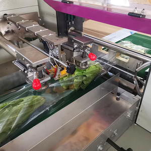 Bolsita de almohada automática, máquina de embalaje compacta para Fideos, ensaladas, Wafer, queso - Product Image 6