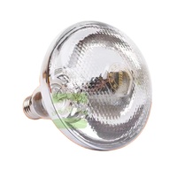Ampoule chauffante infrarouge pour l'élevage de volailles et de bétail, couveuse pour l'éclosion des poussins et des porcelets, mangeoires pour animaux