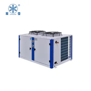 monoblock condensing unit roof top