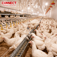 Système d'élevage de poulets de chair, équipement avicole automatique pour projet commercial d'élevage au sol de poulets de chair