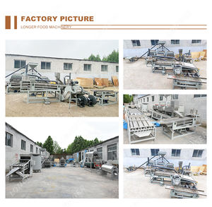 Machine à broder les noix bouddhhi du brésil, taux d'oxygène dans le sang, 90 — 95% - Product Image 5