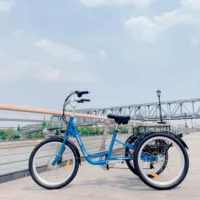 MEIGI — Tricycle électrique de 24 pouces pour famille, 36V, 350W, 13ah, Fat Bike, Cargo, pour hommes et femmes, offre spéciale