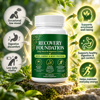 Capsules de soutien digestif de haute qualité : Vitamine B12, Bisglycinate de Magnésium, Citrate de Zinc, L-Théanine pour la mémoire et le sommeil (60 gélules)