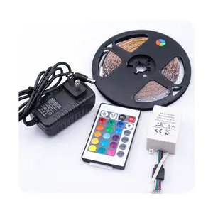 Newdc12v Rgb Led Strip Kit Magic Flexible Étanche Extérieur 5m Led Strip 2835 Smd Ip65 Led Strips Lights Avec Led Driver2024