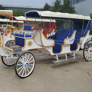 Carrosse de Victoria électrique pour le tourisme et les mariages, transport spécial, prix usine, à vendre - Product Image 5
