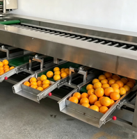 Hoogwaardige automatische sorteermachine voor afmetingen · Intelligente industriële sorteermachine voor classificatie