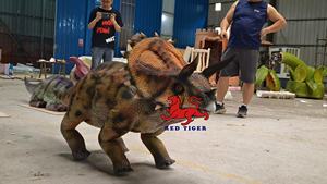 Jurassic Alive lifize TriceratopsRobot Animatronic modello per parco trampolino o museo - Product Image 2