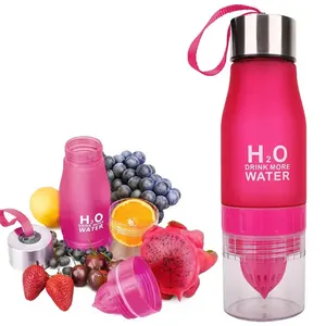 Wholesale Popular Bpa Free Fruit Extruder Custom Logo White H2o Tritan Fruit Infuser Water Bottle With Filter