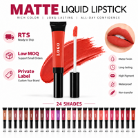 RTS Rouge à lèvres liquide mat velours 10 ml, imperméable, longue tenue, résistant au transfert, faible MOQ 1 pièce, vente en gros, logo personnalisé