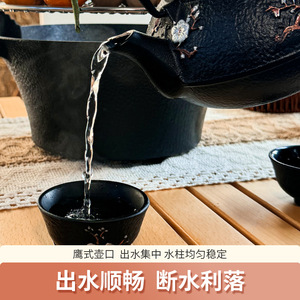 BSWolf Cast Iron Teapot 1.2L With Plum Blossom Design For Stovetop Use - Product Image 3
