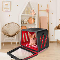 Séchoir intelligent pour animaux de compagnie à faible bruit et température constante, séchoir automatique pour chats, armoire de séchage pour petits chats et chiots