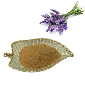 Заводская поставка, лавандовый порошок, лавендулан, экстракт, порошок, экстракт лаванды, порошок по оптовой цене - Product Image 1