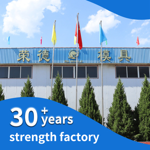 ผู้ผลิตแม่พิมพ์ผลิตแม่พิมพ์ฉีดพลาสติก ABS แบบกำหนดเองที่มีความแม่นยำสูง พร้อมบริการขัดเงาและทำตัวอย่าง - Product Image 5