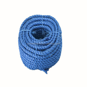 Corde en PE <span class=keywords><strong>anti</strong></span>-âge, résistante aux fissures, flexible et robuste pour la fixation de filets de pêche, la suspension en aquaculture et l'agriculture - Product Image 6